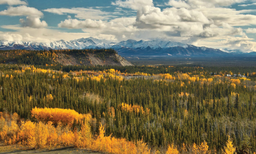 Yukon Kuskokwim Delta Reeve Air Alaska, LLC